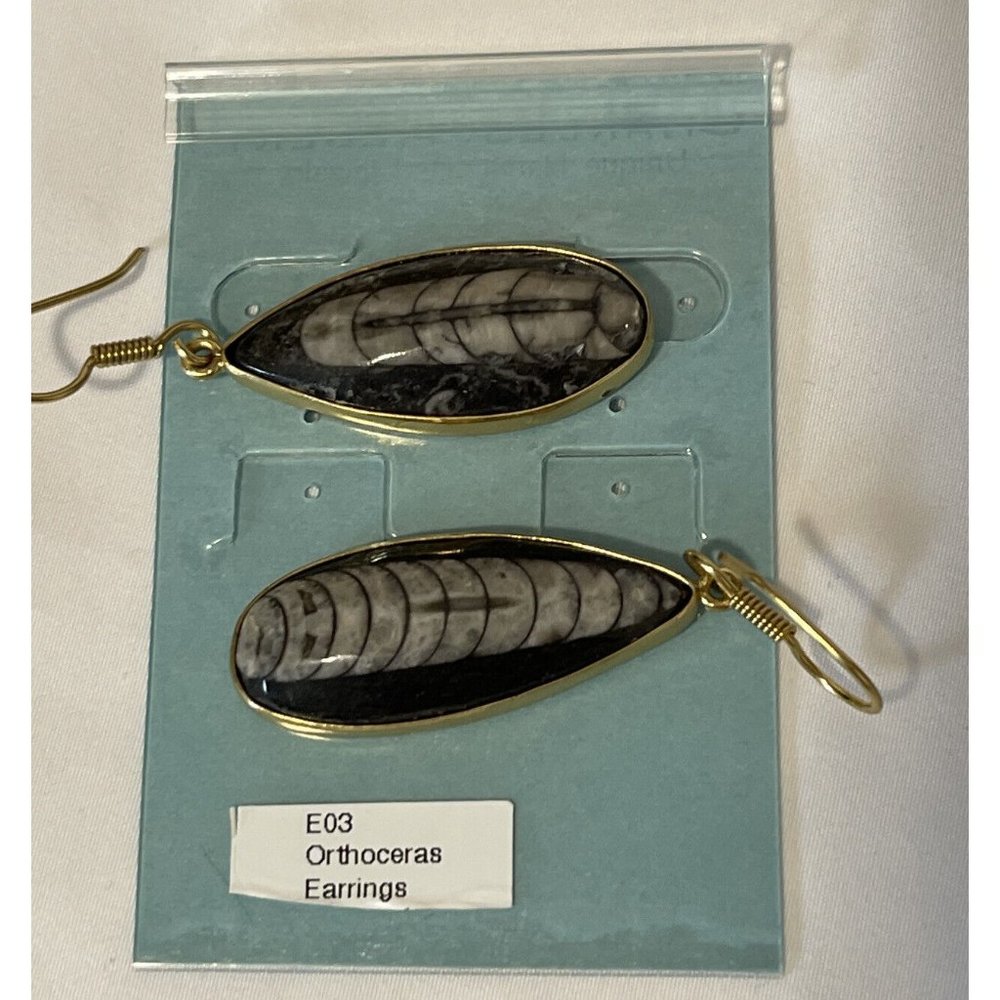 SOLD eBay Charles Albert Orthoceras Fossil Gold Tone pierced Shell earrings NWT - Picture 5 of 7